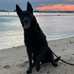 Luka, Senior Security Officer at ioDevOps